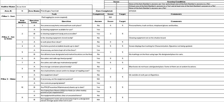 6s audit