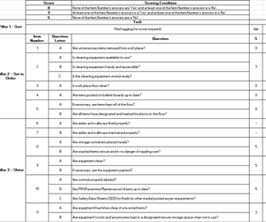 6S Audit
